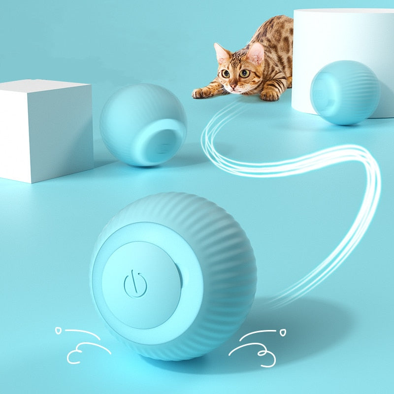 Bola Silicone Elétrica - Rolamento Automático - Interativa para animais